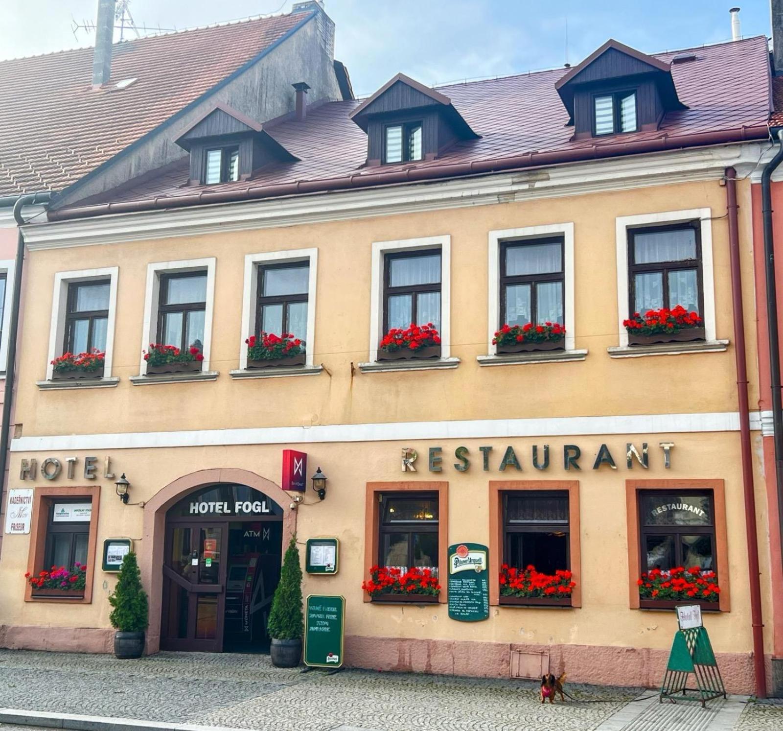 Hotel Fogl Nová Bystřice Exteriér fotografie
